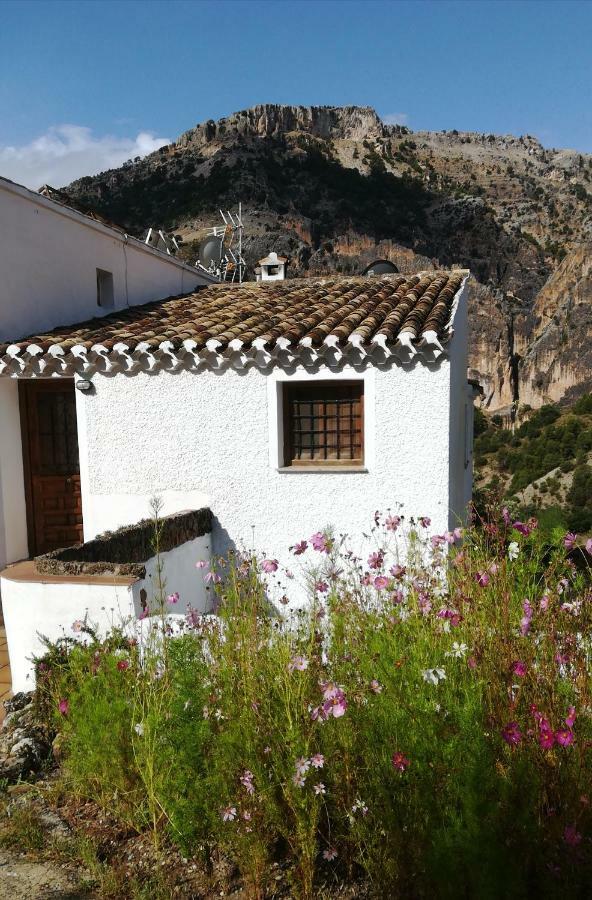Saluda Alta Castril Exterior foto